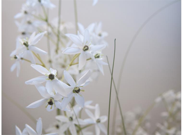 Europalms Jasmin grass artificial plant, white, 130 cm