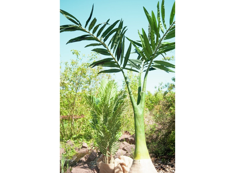 Europalms Phoenix palm artificial plant, 240cm 