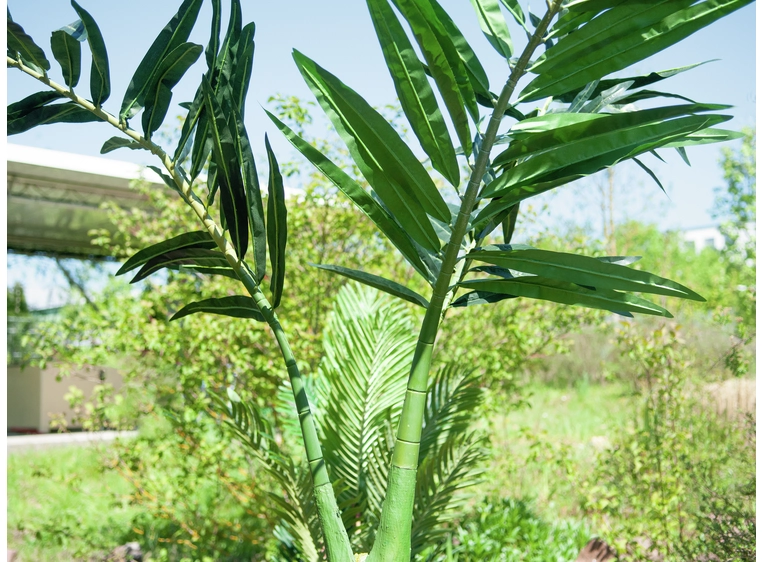Europalms Phoenix palm artificial plant, 240cm 