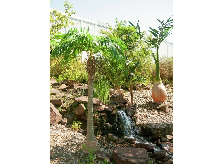 Europalms Phoenix palm artificial plant, 240cm 