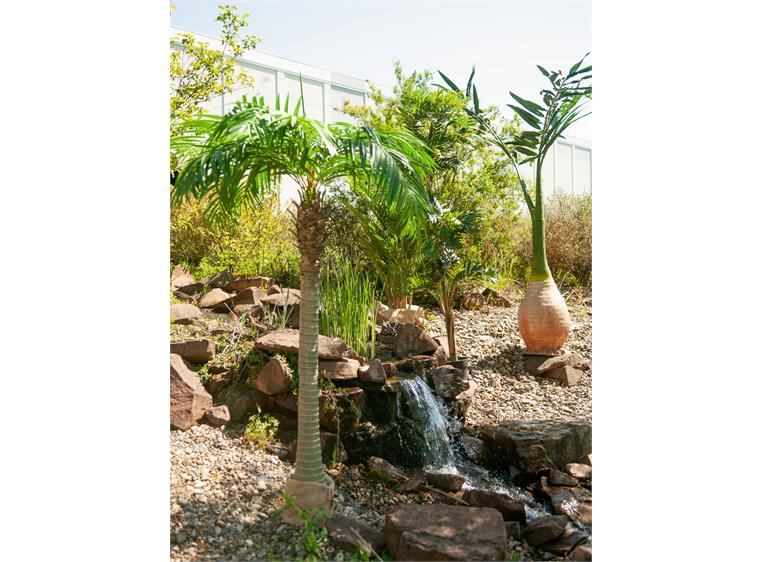Europalms Phoenix palm artificial plant, 240cm