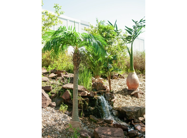 Europalms Phoenix palm artificial plant, 240cm 