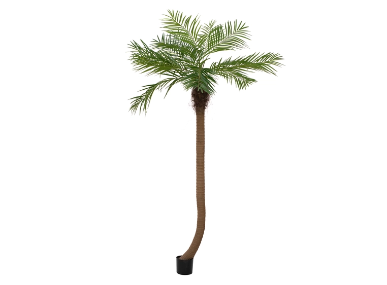 Europalms Phoenix palm tree luxor curved artificial plant, 240cm 