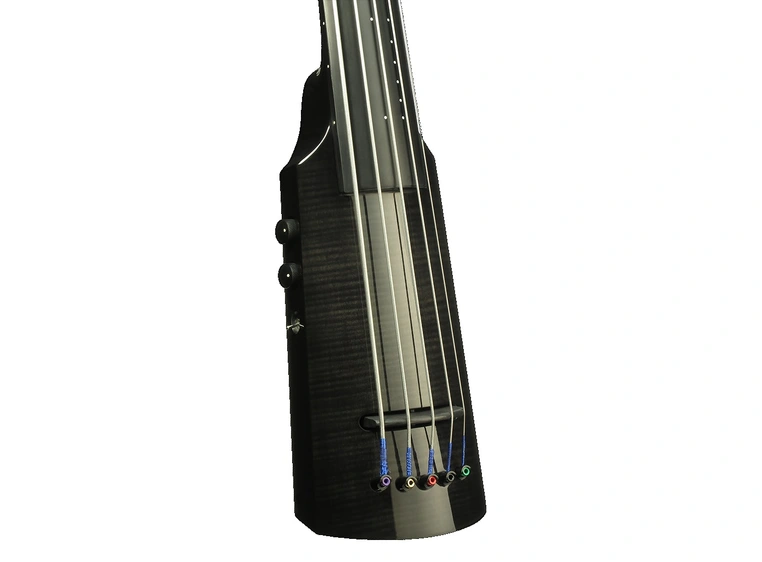 NS DESIGN WAV5c-OB-BK Electic Omni-Bass 5-str. Transparent Black 