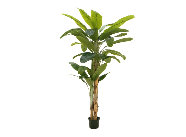 Europalms Banana tree artificial plant, 240cm 