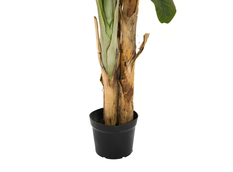 Europalms Banana tree artificial plant, 240cm 