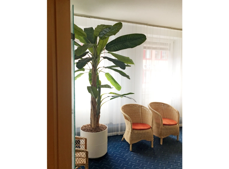 Europalms Banana tree artificial plant, 240cm 