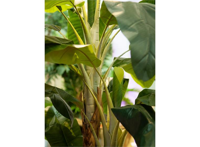 Europalms Banana tree artificial plant, 240cm