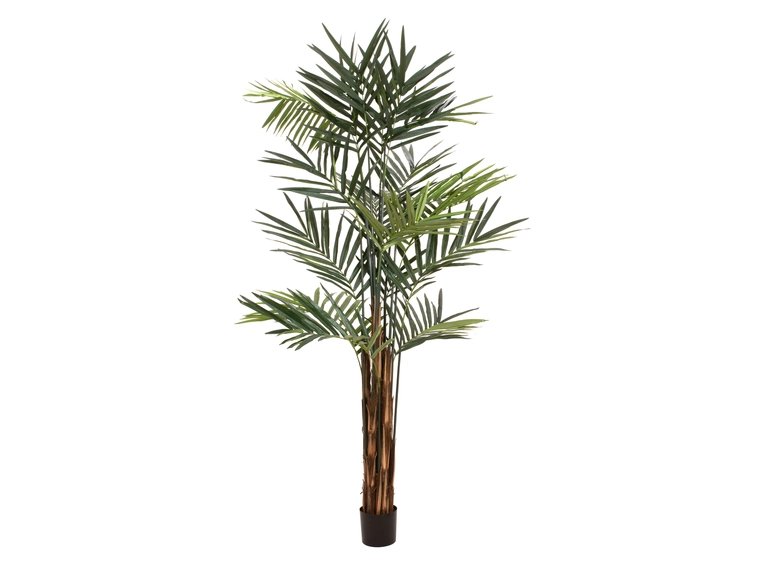 Europalms Kentia palm tree artificial plant, 300cm 
