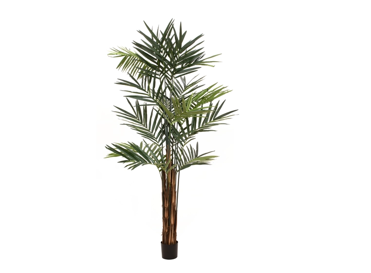 Europalms Kentia palm tree artificial plant, 300cm 