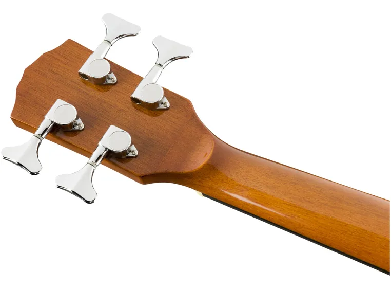 Fender CB-60SCE Bass Natural, IL 