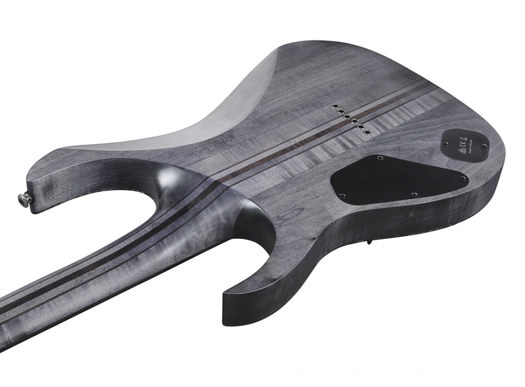 Ibanez RGT1221PB-DTF 