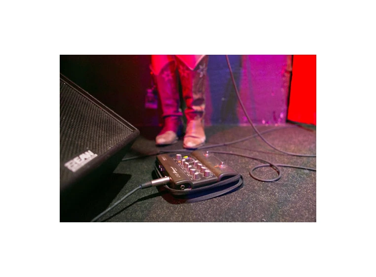 L.R.Baggs Venue DI, Full Isolation DI/Footpedal with Tuner 