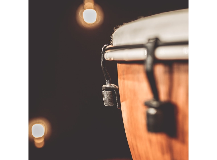 Meinl ADJ10-BW Djembe Synthetic 10" Barnwood, Alpine Series 