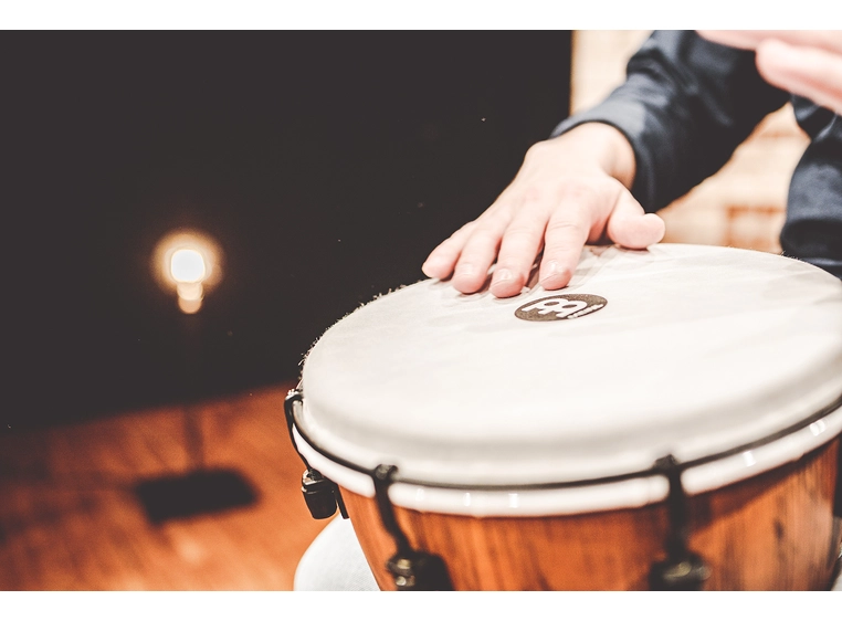 Meinl ADJ10-BW Djembe Synthetic 10" Barnwood, Alpine Series 