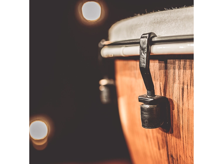 Meinl ADJ10-BW Djembe Synthetic 10" Barnwood, Alpine Series 