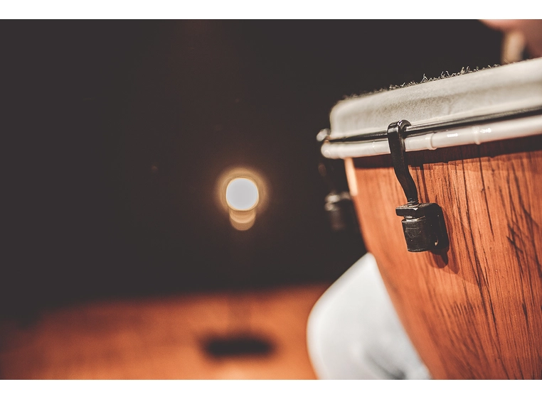 Meinl ADJ10-BW Djembe Synthetic 10" Barnwood, Alpine Series 