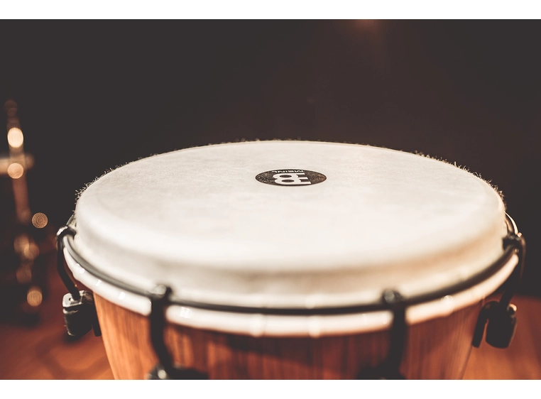 Meinl ADJ10-BW Djembe Synthetic 10" Barnwood, Alpine Series 