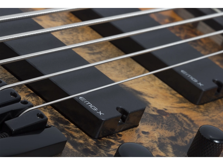 Schecter RIOT-5 Inferno Burst 