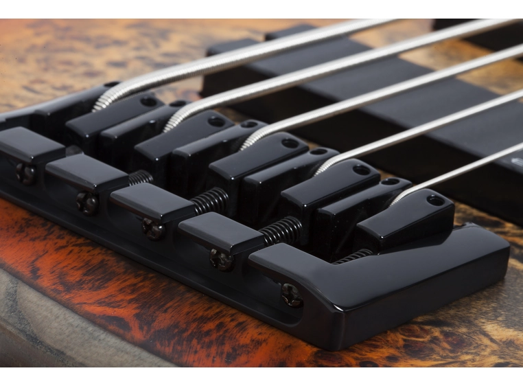 Schecter RIOT-5 Inferno Burst 