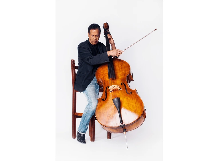 EBS Stanley Clarke Acoustic Preamp 