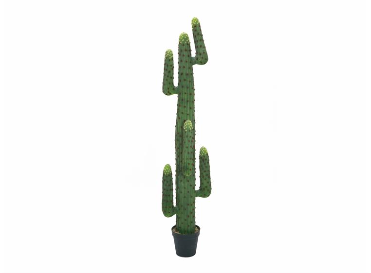 Europalms Mexican cactus artificial plant, green, 173cm
