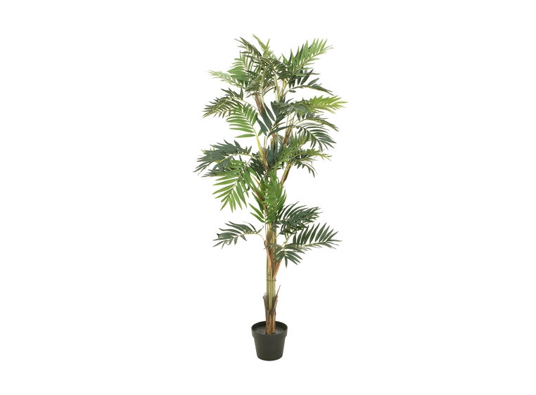 Europalms Parlor palm artificial plant, 150cm 