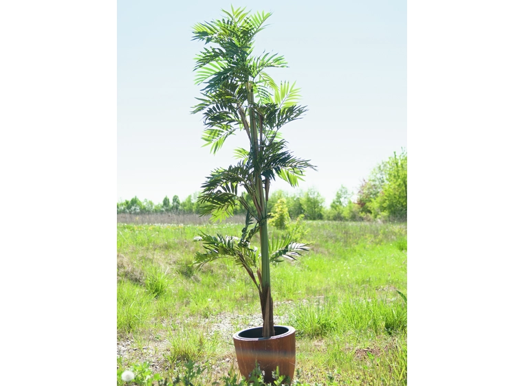 Europalms Parlor palm artificial plant, 150cm 