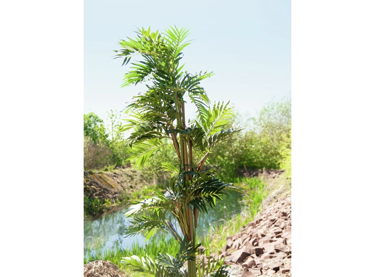 Europalms Parlor palm artificial plant, 150cm 