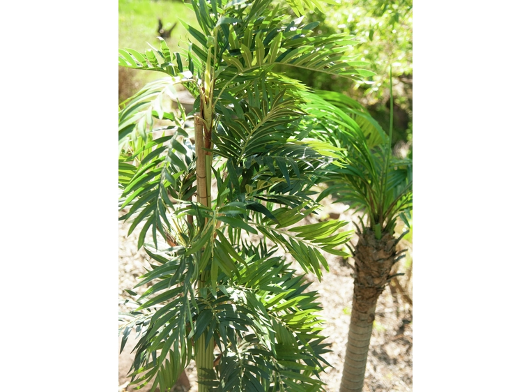 Europalms Parlor palm artificial plant, 150cm 