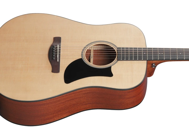 Ibanez AAD50-LG 