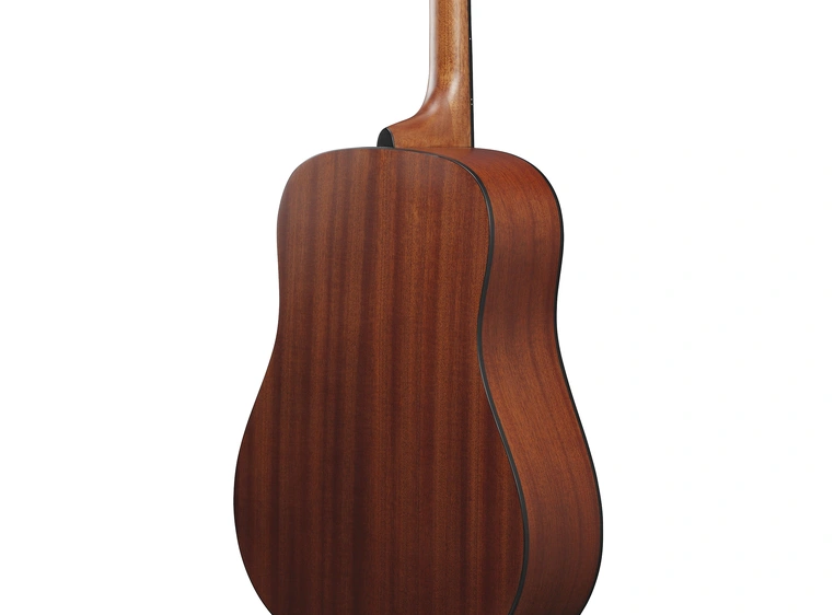 Ibanez AAD50-LG 