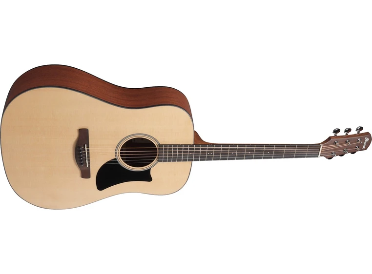 Ibanez AAD50-LG 