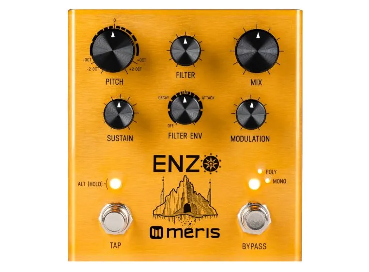 Meris Enzo Multi-Voice Synthesizer Pedal 
