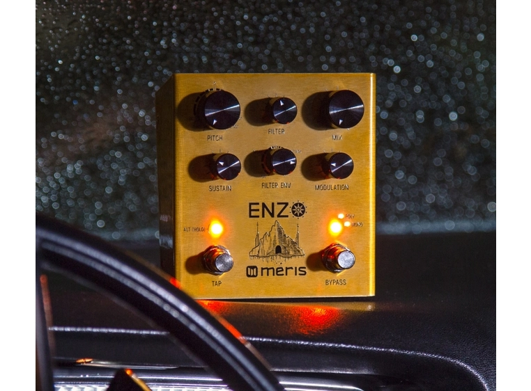 Meris Enzo Multi-Voice Synthesizer Pedal 