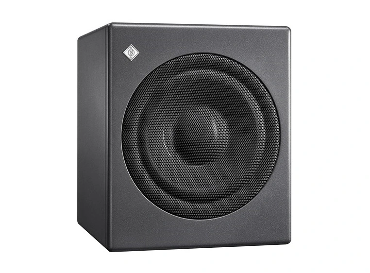 Neumann KH 750 DSP D G 10" Aktiv DSP Subwoofer 