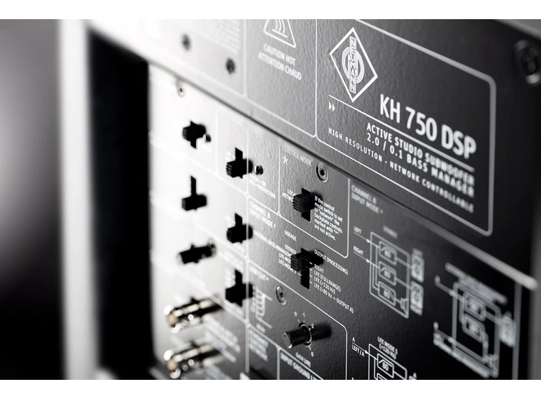 Neumann KH 750 DSP D G 10" Aktiv DSP Subwoofer 