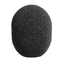 Neumann WS2 Windscreen for TLM 102/ 193