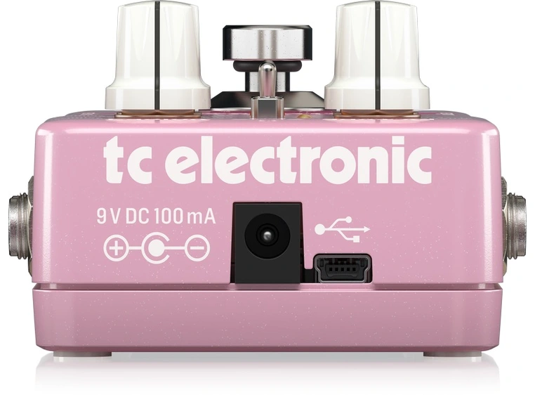 TC Electronic Brainwaves pitch shifter 