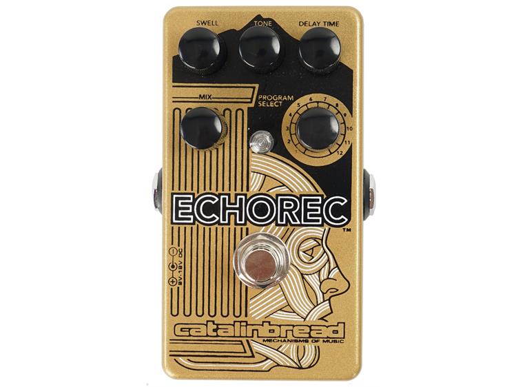 echorec pedal