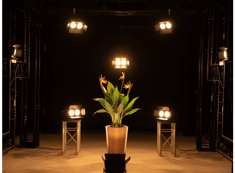 Eurolite LED CBB-2 WW/CW fair light 