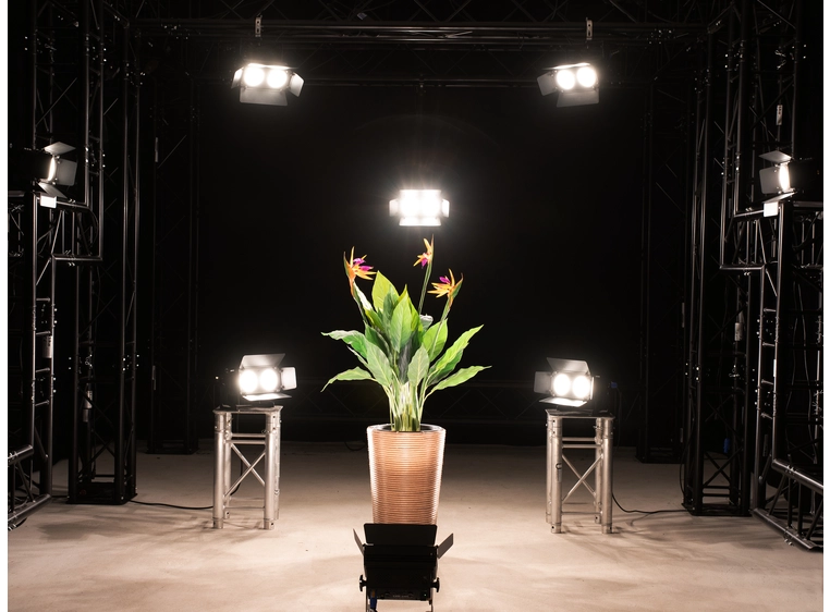 Eurolite LED CBB-2 WW/CW fair light 