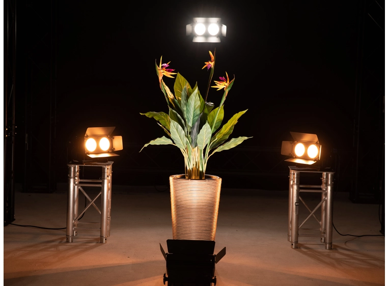 Eurolite LED CBB-2 WW/CW fair light 