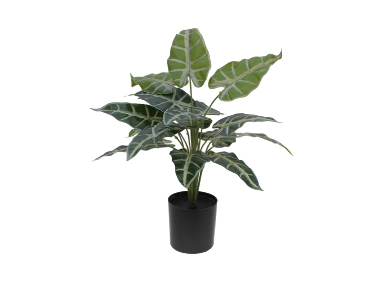 Europalms Caladium artificial plant, 38cm 