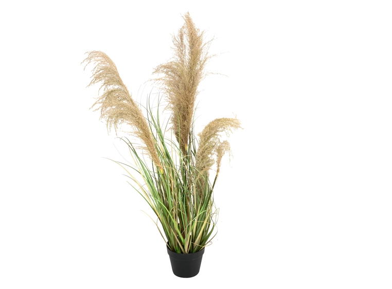 Europalms Chinese silvergrass artificial plant, 110 cm 