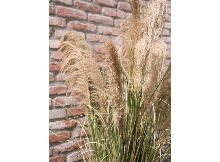 Europalms Chinese silvergrass artificial plant, 110 cm