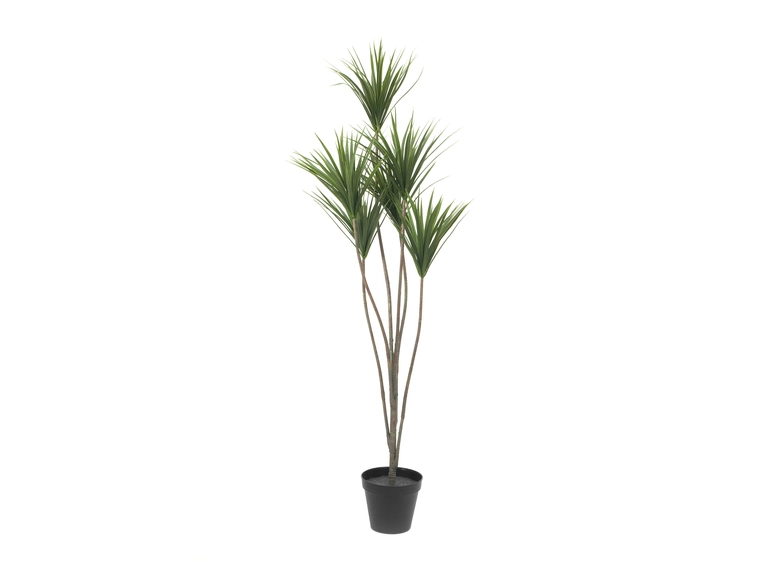 Europalms Yucca palm artificial plant, 130cm 