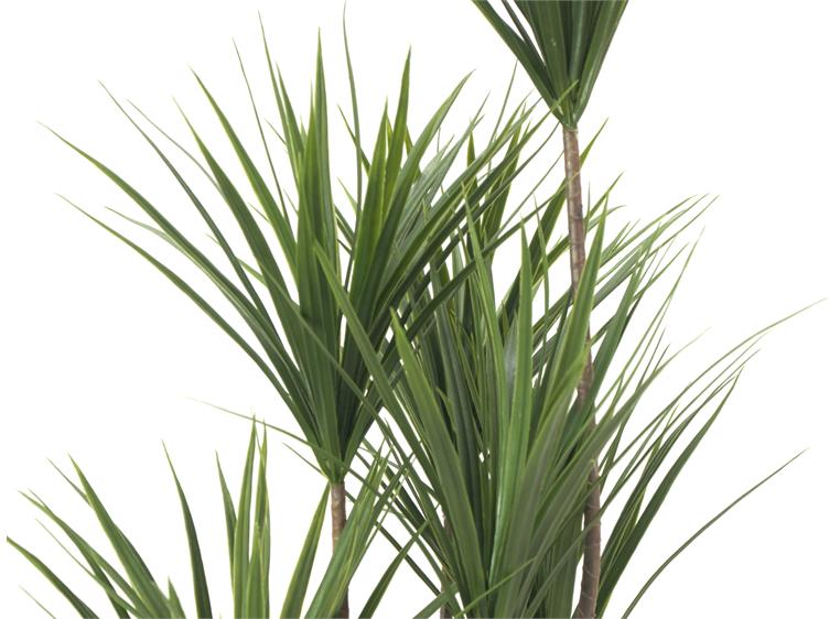 Europalms Yucca palm artificial plant, 130cm