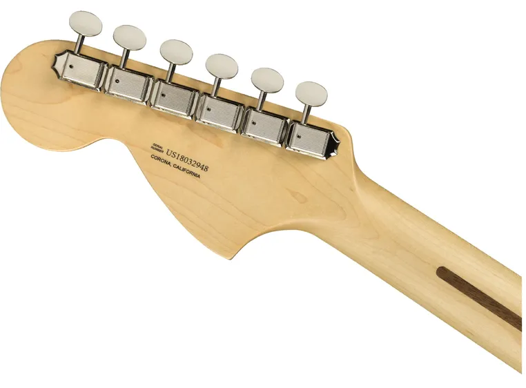 Fender American Performer Stratocaster Honey Burst, RW 