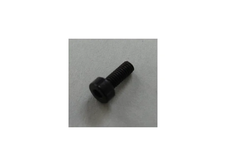 Ibanez 2GBX5BA008 Saddle holding screw for Tight-End R, Black 